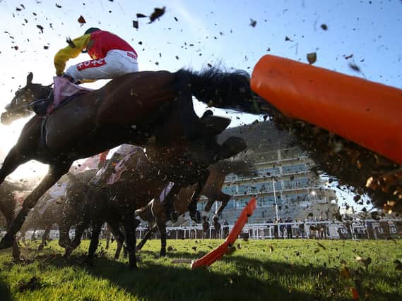 Zoffanien ridden by Richard Johnson jumps a hurdle first time round during the Boodles Juvenile Handicap Hurdle (Grade 3) on Day One of the Cheltenham Festival  (Photo by Michael Steele/Getty Images)