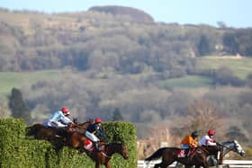 General view of the field during the Glenfarclas Chase race on Day Two of the Cheltenham Festival 2021 (Photo by Michael Steele/Getty Images)