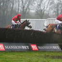 Over they go at Fontwell Park / Picture: Getty