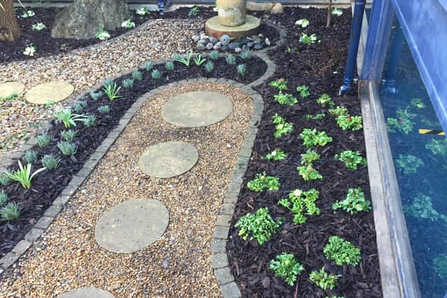 The courtyard garden at Clair Hall, Haywards Heath, has been given a makeover. Picture: Lee Duyvesteyn