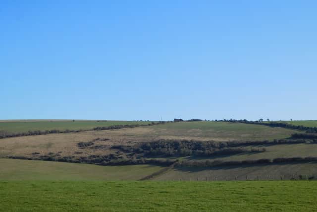 Tenantry Down - on the left, marked by a line of trees, is the track from Golding Barn to the top of Beeding Hill and on the right is the Bostal Road, which goes from the Henfield Road in Beeding to Beeding Hill, meeting with the other track and the road from Shoreham. Picture: Pat Nightingale