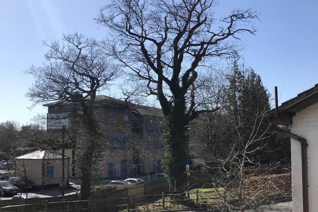 Bridgers Mill, Haywards Heath, residents have objected to plans to cut down a large oak tree