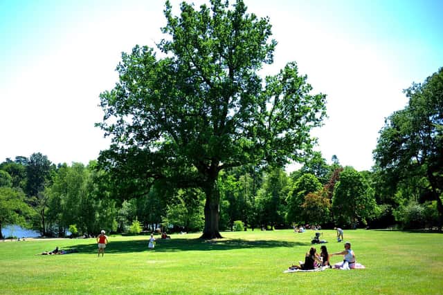 Tilgate Park in Crawley. Picture courtesy of Horsham & Crawley Counselling Group