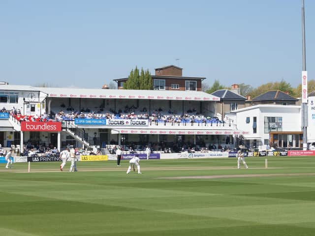 The Hove outfield has been hit by an insect infestation