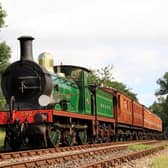 The Bluebell Railway is planning to reopen next month. Picture: Mike Hopps