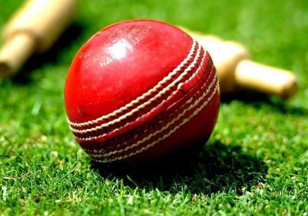 Cricket