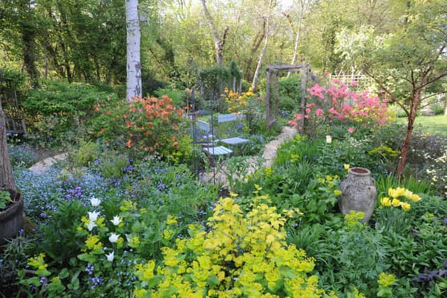 The Gammons' garden in Birch Close, Arundel, pictured in April 2011 for the National Garden Scheme open day. Picture: Louise Adams C110662-2