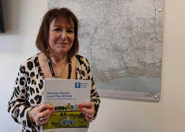 Cabinet member Claire Vickers with a copy of the local plan