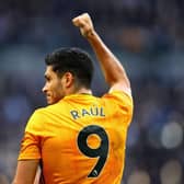 Raul Jimenez has been a classy performer for Wolves this season