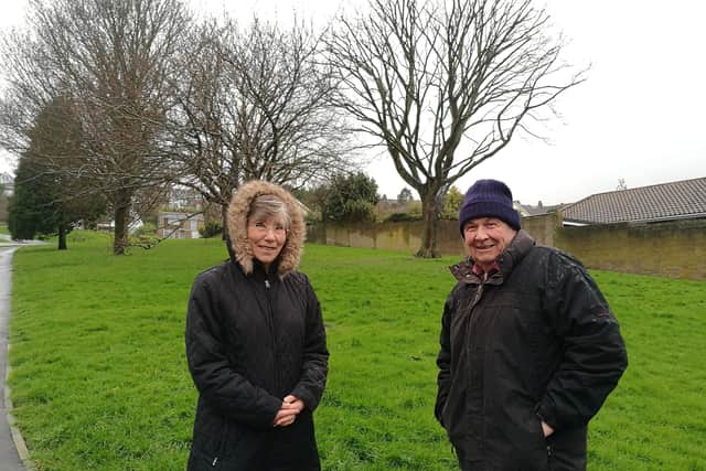 Cllr Belsey said he was 'shocked' at the amount Mrs Downey paid for the land