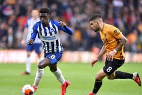 Yves Bissouma impressed in the Brighton midfield at Wolves