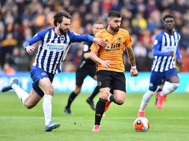 Brighton's Davy Propper tussles for possession at Wolves