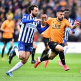 Brighton battled to a hard earned point at Wolves
