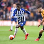 Yves Bissouma produced his best display of the season at Wolves, according to Albion head coach Graham Potter