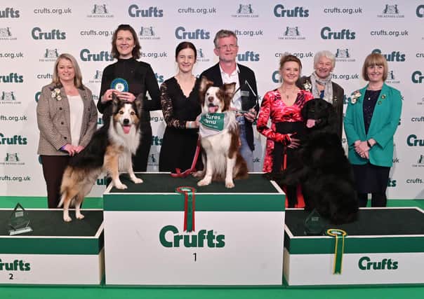 Caroline Garrett with Fawkes (centre) and runners up Lucy Creek and Skiffle (left), from the West Midlands, and Pamela Sullivan and Mack (right), from West Yorkshire. Photograph: Sandy Young/ Flick.digital/ The Kennel Club