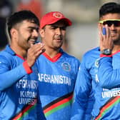 Rashid Khan celebrates a wicket for Afghanistan against Ireland