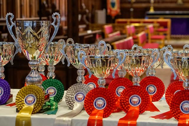 Trophies on display at the 12th annual British Pie Awards at St Mary's Church in Melton Mowbray. Picture: Martin Elliot