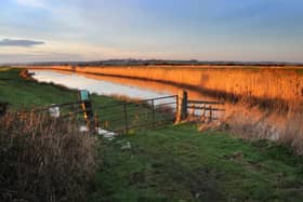 Waller's Haven on Pevensey Levels looking towards Herstmonceux in the late afternoon winter sun. January 20th 2014 E03185Q ENGSUS00120140122104451