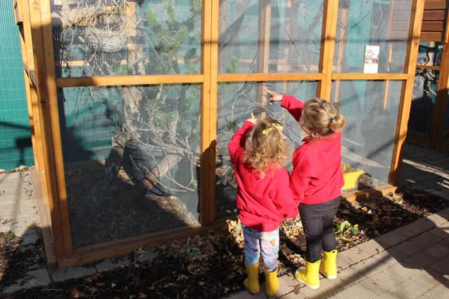 Nursery children intrigued by the animals