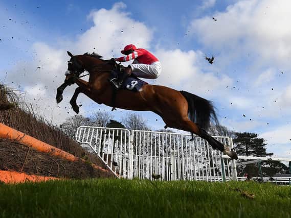St Patrick's raceday action at Fontwell Park / Picture: Mike Hewitt, Getty