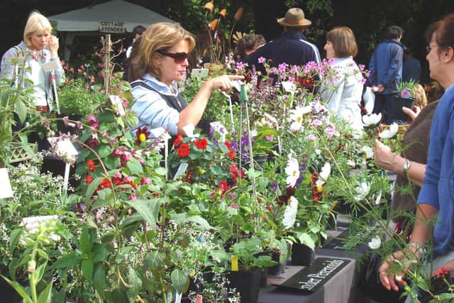 The popular garden shows will take place later this year