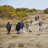 Visitors flock to Ashdown Forest on Mother's Day despite social distancing warning. Picture: Eddie Howland