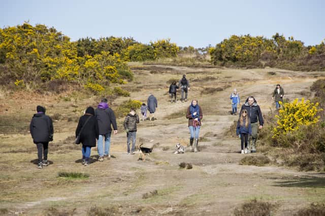 Visitors flock to Ashdown Forest on Mother's Day despite social distancing warning. Picture: Eddie Howland