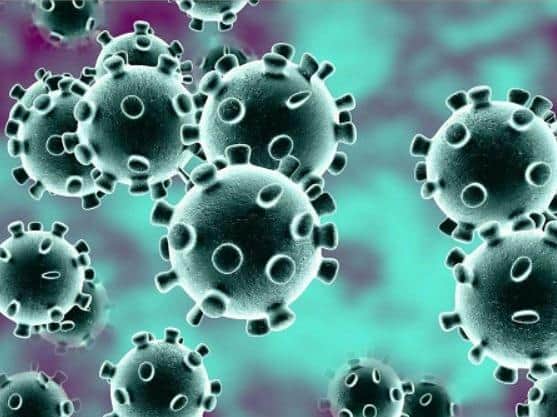 The latest coronavirus figures for West Sussex have been released