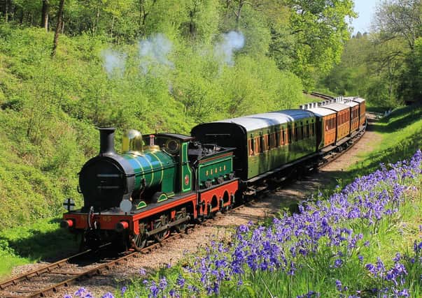 Bluebell Railway. Picture: Peter Edwards