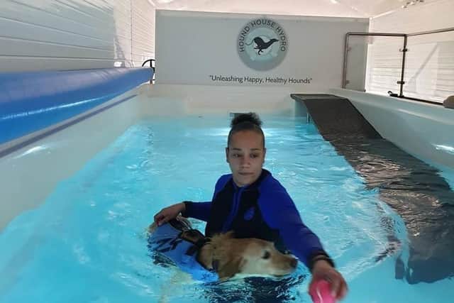 Jessica Chase, practice director at Hound House Hydro, swimming with Buffy