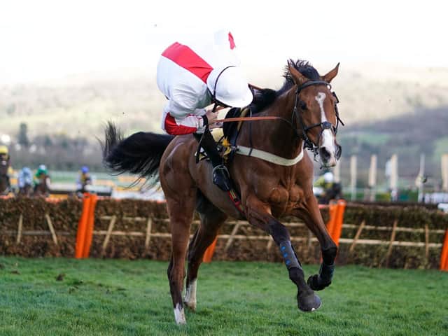 Jamie Moore is about to be unseated from Goshen at the final hurdle at Cheltenham / Picture: Getty