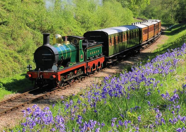 Bluebell Railway. Picture: Peter Edwards SUS-200324-130158001