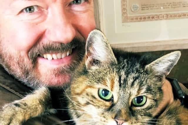 Ricky Gervais is supporting the RSPCA's emergency appeal launched during the coronavirus SUS-200331-095536001