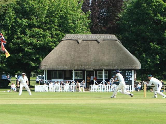 Cricket at Goodwood / Picture: Malcolm Lamb