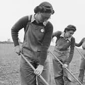 The Women's Land Army in 1942