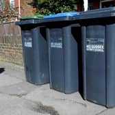 Garden waste collections in Mid Sussex are being paused. Picture: Steve Robards