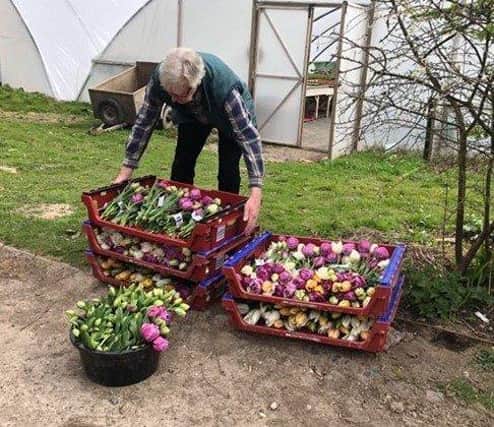 Herstmonceux Castle donated 300 bunches of Tulips to key workers and vulnerable residents - Photo by Julie Ryan SUS-200804-122608001