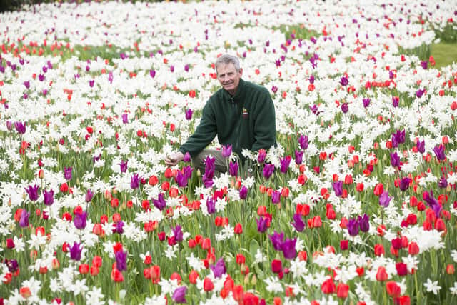 Arundel Castle head gardener Martin Duncan showing off the 2020 display. Picture: Brighton Pictures/Dave McHugh