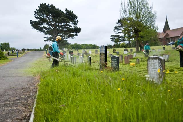 Overgrown Graves at Eastbourne crematorium SUS-140528-164415001
