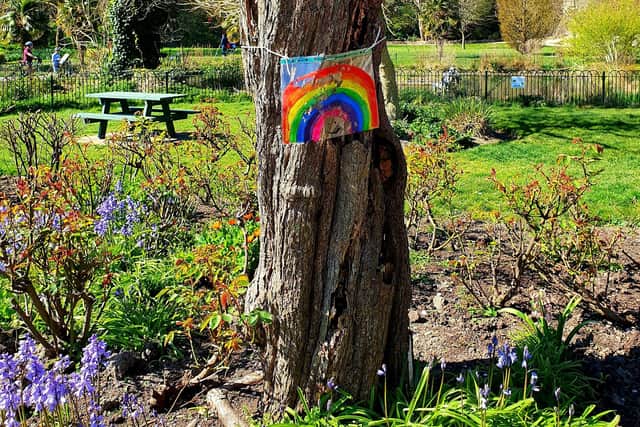 Rainbow tree in Motcombe Gardens, Eastbourne. Photo by EILEEN KILGOUR