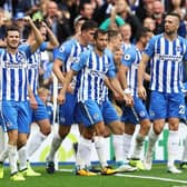 Pascal Gross celebrates his first goal against West Bromwich Albion in 2017. It was Albion's first top division goal since Gordon Smith v Norwich in May 1983.