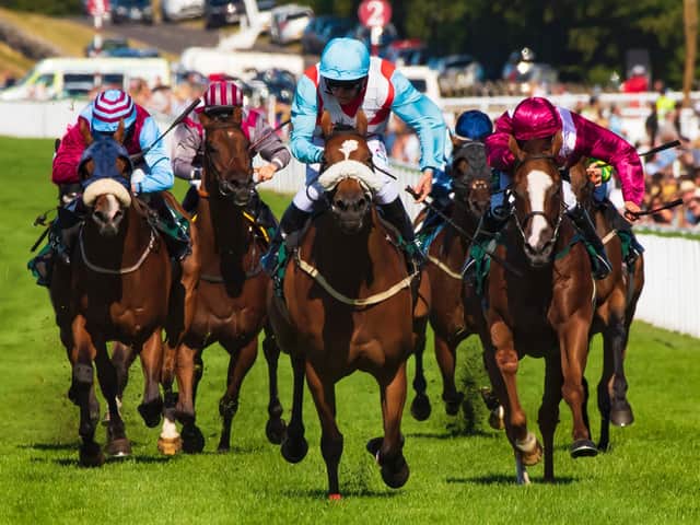 Glorious Goodwood is one of the sporting highlights of the summer and everyone with an interest will be hoping the lockdown is over in time for it to take place / Picture: Tommy McMillan