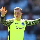 Made 133 appearances for the Albion. Left the club in 2017 after they gained promotion. Now on loan at League One club Wycombe Wanderers from Birmingham