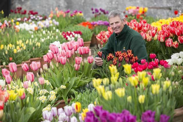 Martin Duncan, head gardener at Arundel Castle, has the job of looking after the 80,000 tulips that have bloomed for Annual Tulip Festival 2020. Picture: David McHugh / Brighton Pictures