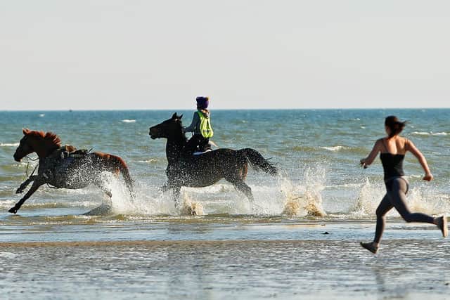 One horse makes its escape. Pic: Kieran Cleeve Photgraphy