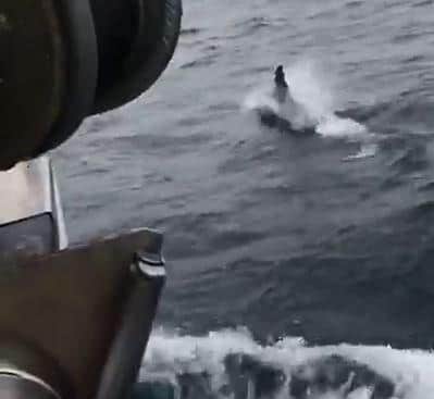 Fisherman Emerson Brito spotted the dolphins 20 miles away from Beachy Head