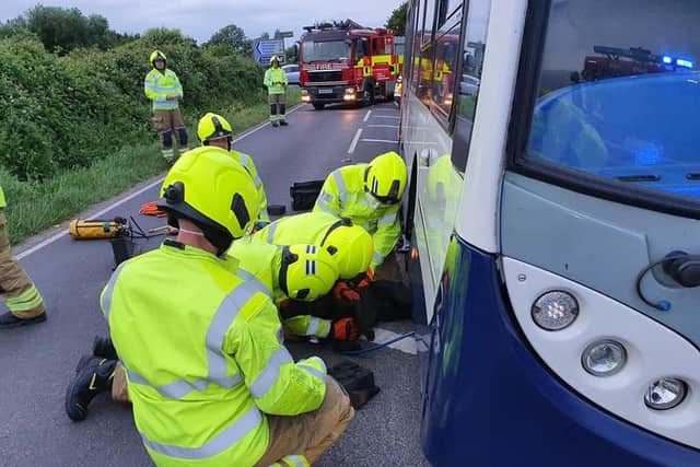 The dog was trapped under the single decker bus
