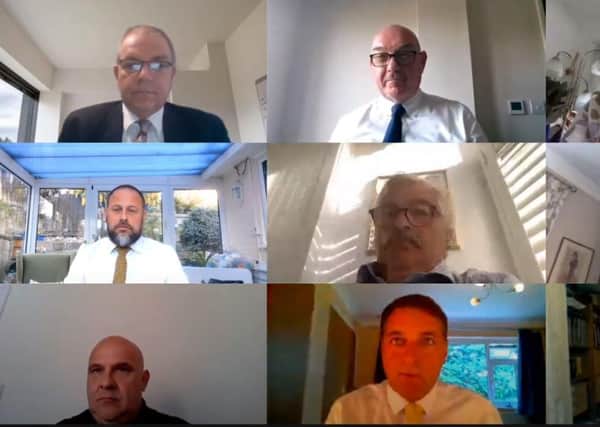 Rother councillors during Monday's virtual meeting