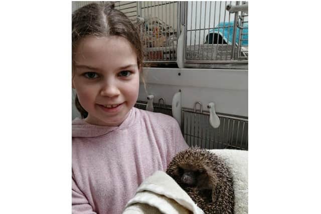Amelie with a hedgehog at Brent Lodge, before the lockdown started