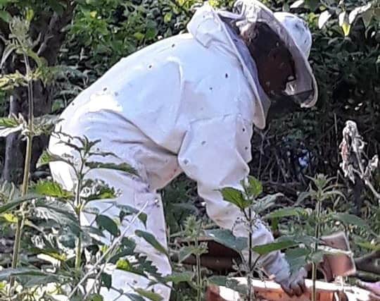 Pevensey and Westham Community Forest Garden beekeepers came to the rescue